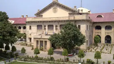Allahabad high court on Wednesday freed a 31-year-old Shamli man, saying he is at liberty