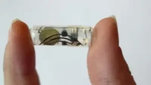Edible batteries? Scientists develop swallowable paper battery to power medical devices inside