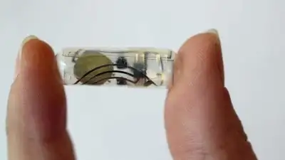 Edible batteries? Scientists develop swallowable paper battery to power medical devices inside