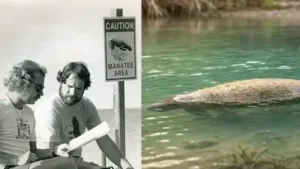 Long before Jimmy Buffett became widely associated with island music, boats and Florida’s