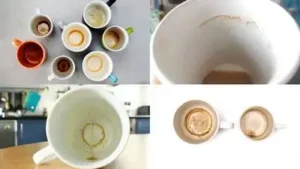 A practical guide to get rid of stubborn coffee stains inside mugs: Easy home cleaning hacks