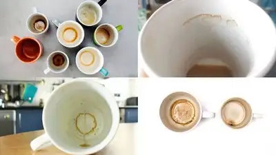 A practical guide to get rid of stubborn coffee stains inside mugs: Easy home cleaning hacks