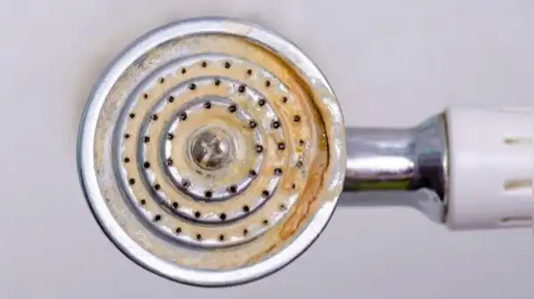 If your water's particularly hard, a light vinegar mist sprayed on after each shower helps keep