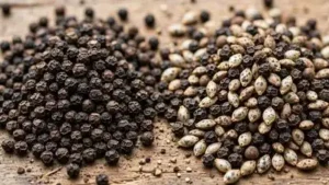 From checking the shape and texture to pressing, smelling, and examining the pepper closely