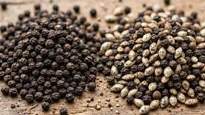 From checking the shape and texture to pressing, smelling, and examining the pepper closely