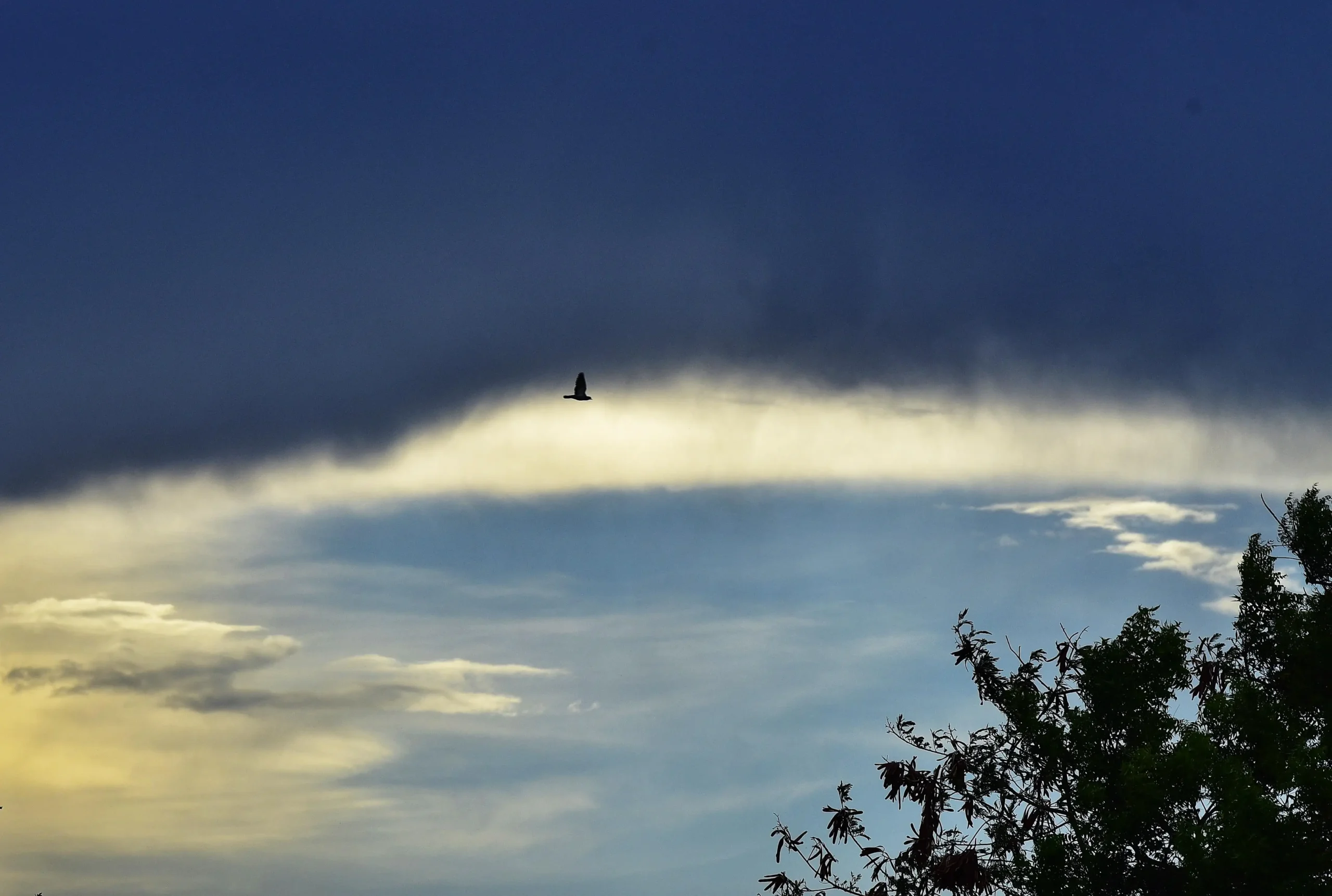 On Tuesday, relative humidity in Pune was as high as 63%-75%: The wider industry impact
