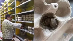 Worm in egg sets off food safety check at Mangaluru quick-commerce hub