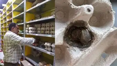Worm in egg sets off food safety check at Mangaluru quick-commerce hub