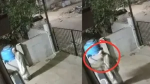 91-year-old woman dies after monkey attacks, pushes her in Karnataka