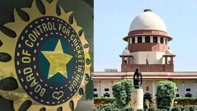NSG Act and Rules mandate a National Sports Board as the central regulatory authority