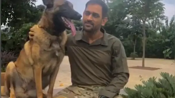 MS Dhoni's sprawling 7-acre Ranchi farmhouse, Virat Kohli's ₹80 crore bungalow to Rohit Sharma's