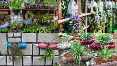 Every household ends up with a steady stream of empty plastic bottles, and most of them go