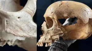 Ancient human remains from three caves in southern Spain are revealing a disturbing but complex