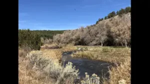 Jane Fonda conserved a New Mexico ranch before a 2018 easement protected 2,229 acres of habitat