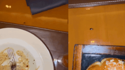 ‘Roachie’ - a baby cockroach was on our table wanting to share our dinner at the Romano