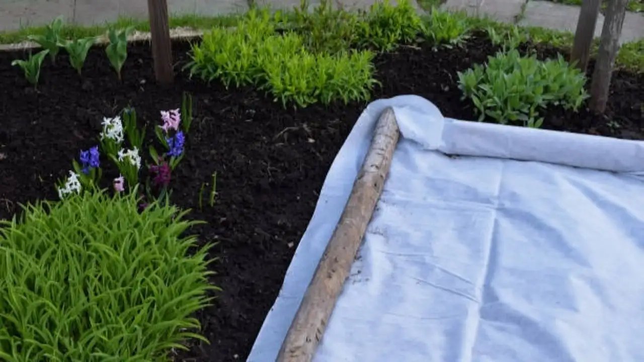 From the garden to the kitchen to genuinely surprising emergency fixes, here are ten things old