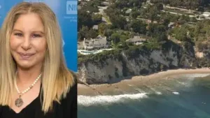 In 1993, Barbra Streisand gave her $15 million Malibu estate: The wider industry impact