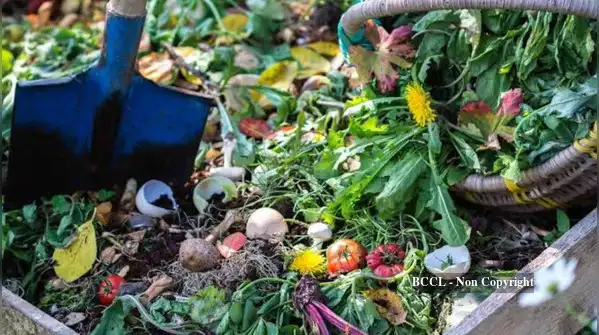 Below, you will find some tips on how to set up a low-odour compost pit in your garden