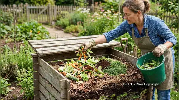 Below, you will find some tips on how to set up a low-odour compost pit in your garden