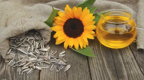 Jojoba oil is technically classified as a liquid wax, which distinguishes it from conventional
