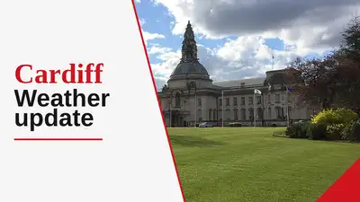 Given the forecast of light rain and high humidity, it is advisable: The wider industry impact