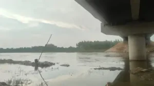 Three men drowned in the Sai River near the Jabraila bridge in the Mohanlalganj area of Lucknow