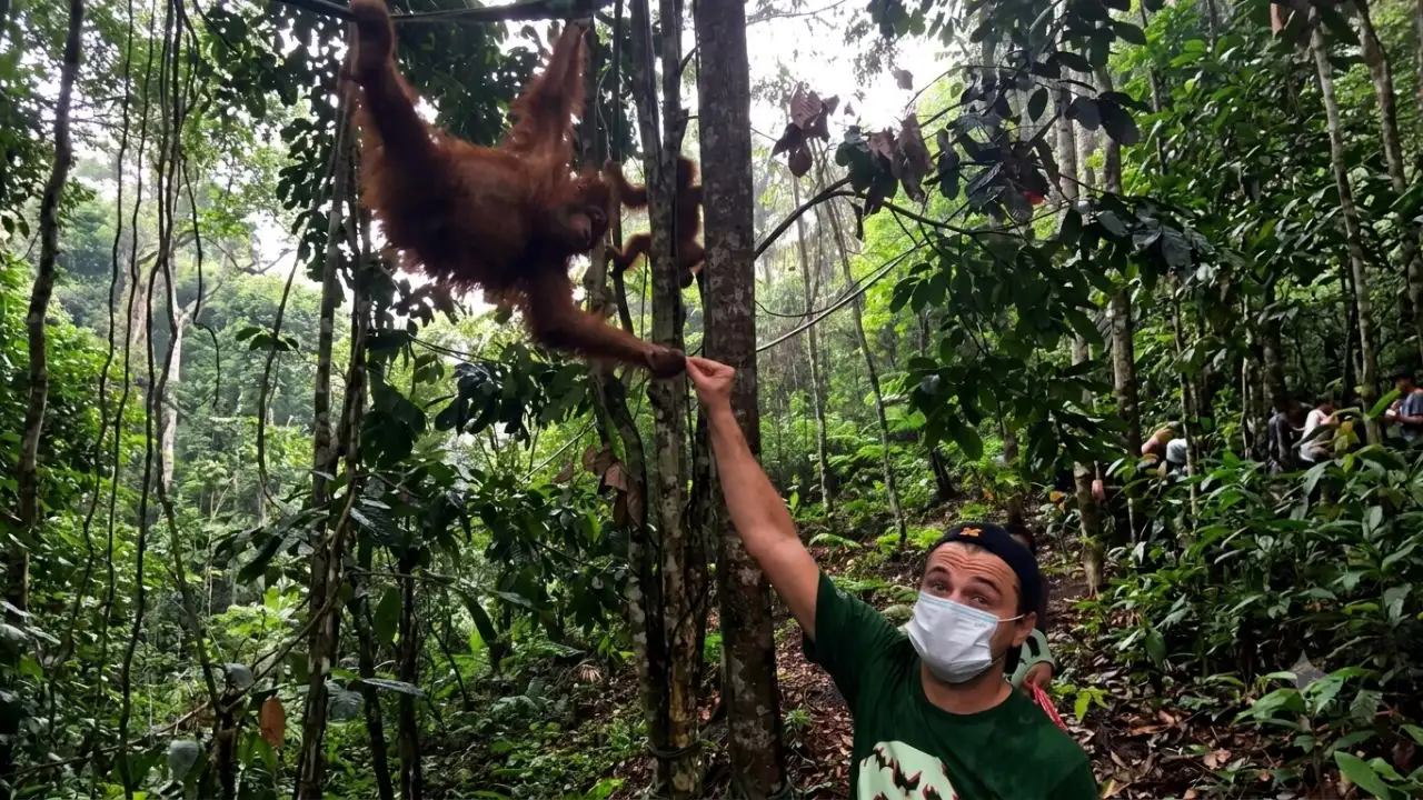 His 2016 visit to Indonesia's Leuser Ecosystem lasted only a matter of days, yet it quickly