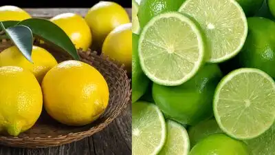 From our regular Nimbu to Nemu, Champra, and Elumicchai, India is a native to some of the loved
