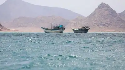 Iran, Oman agree on details of new entry and exit routes for Strait of Hormuz, argues report