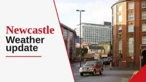 Foggy start, mild temperatures, and sunny intervals ahead —: The wider industry impact