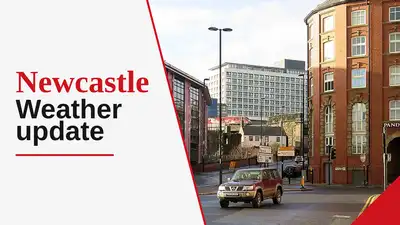 Foggy start, mild temperatures, and sunny intervals ahead —: The wider industry impact