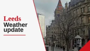 Looking ahead, the week will see a mix of weather, including light: The wider industry impact