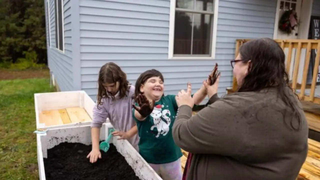 Rockefeller Center Christmas trees has been used in Habitat homes: The wider industry impact