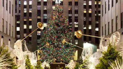 Rockefeller Center Christmas trees has been used in Habitat homes: The wider industry impact