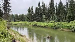 In 2003, a Montana family bought 57 acres along the Stillwater: The wider industry impact