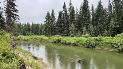 In 2003, a Montana family bought 57 acres along the Stillwater: The wider industry impact