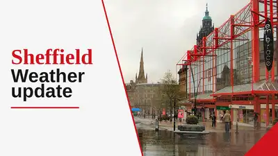 Residents of Sheffield can expect a damp and cool day as the city: The wider industry impact