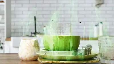 Well, if you too want a space that actually feels fresh, you have to tackle the root causes
