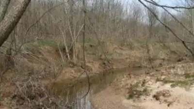 When Greg Reising bought roughly 100 acres near Kinkaid Lake in southern Illinois in 1995, he