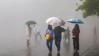 North India weather tomorrow Uttarakhand is likely to receive heavy: The wider industry impact