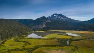 Beneath the forested slopes of Oregon’s Cascade Range, scientists: The wider industry impact