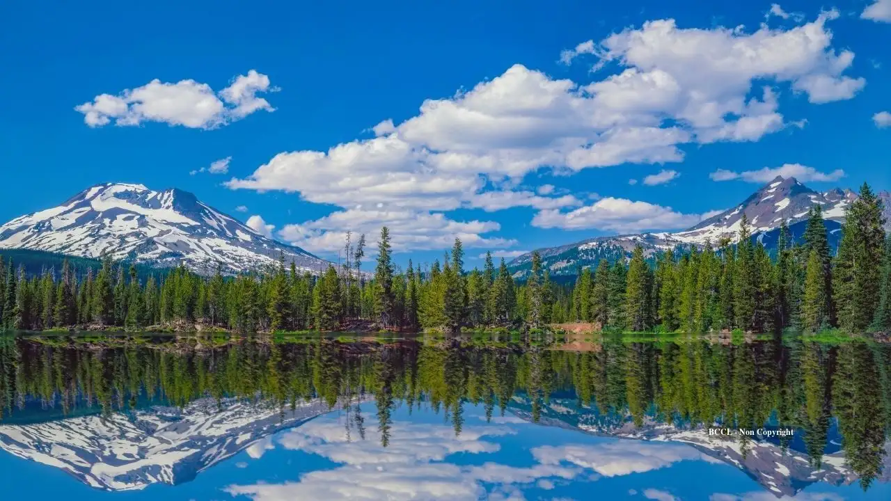 Beneath the forested slopes of Oregon’s Cascade Range, scientists: The wider industry impact