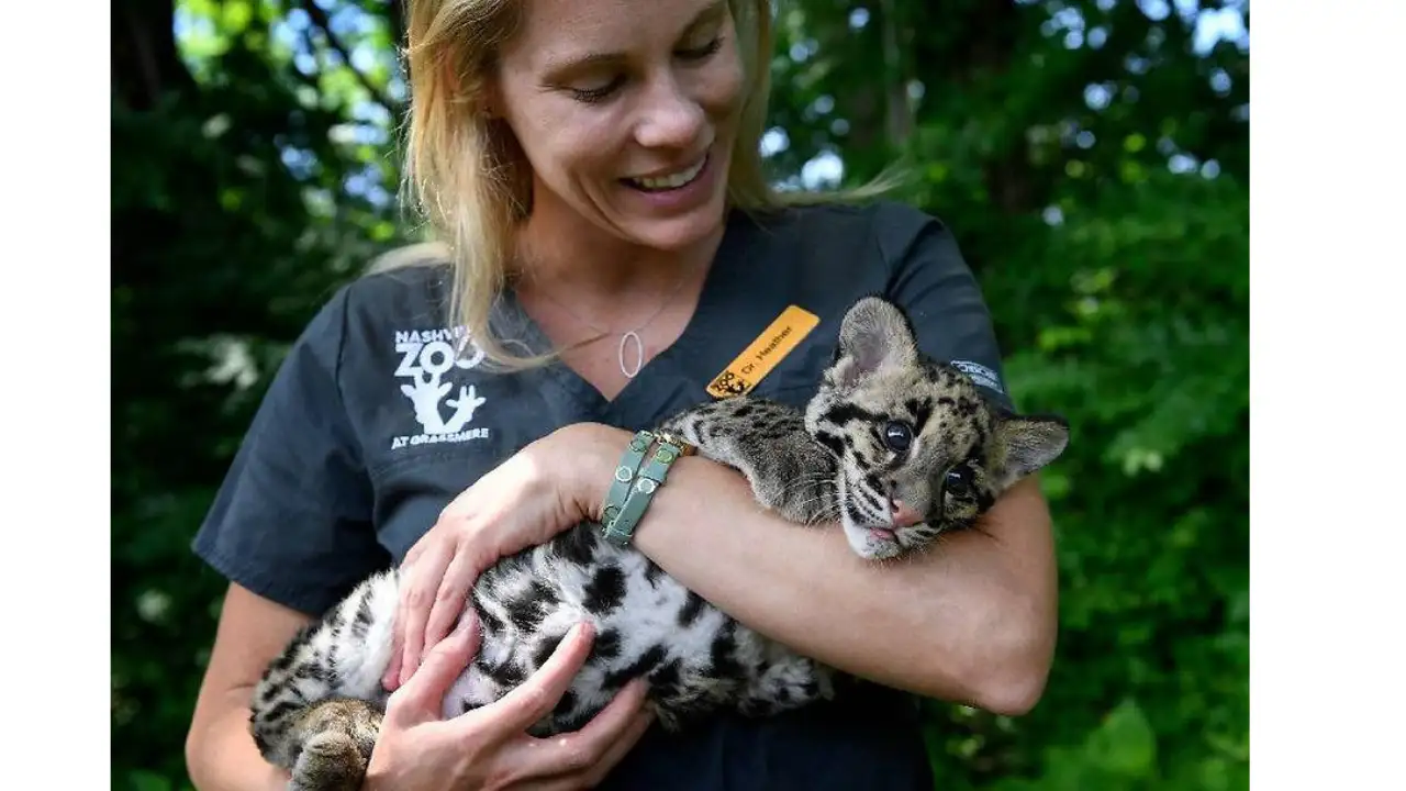 A 69,000 sq ft data centre was planned beside Nashville Zoo; 600,000 people signed against it as