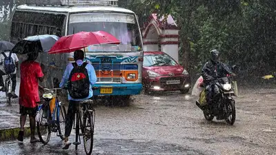Kerala and Mahe are likely to receive heavy rain at isolated places: The wider industry impact