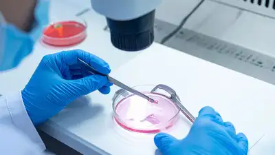 Why doctors give a trigger injection before retrieval and why its timing matters so much — Egg