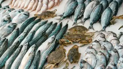 Love gorging on fish, but often find it difficult to buy the right one, so you must read on as