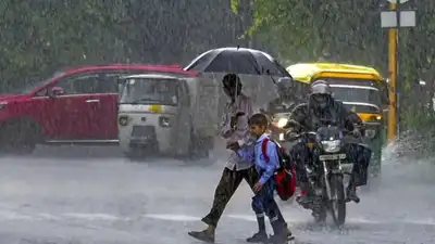 Several northern states are also expected to see rainfall: The wider industry impact