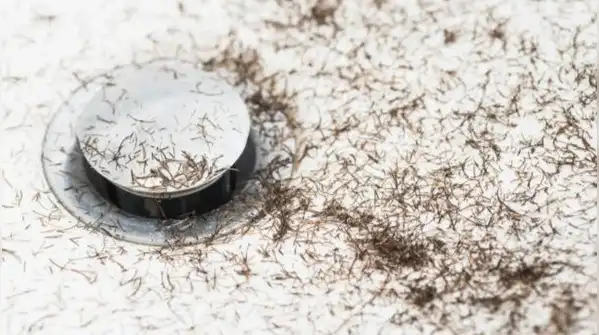 Here are five simple, genuinely effective tips to keep mosquitoes out of your bathroom for good