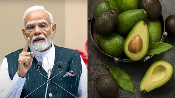 5 delicious desi dishes made with avocados to try at home — PM Narendra Modi praises the goodness
