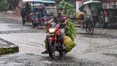 Heavy rain is likely at isolated places in parts of the Northeast: The wider industry impact